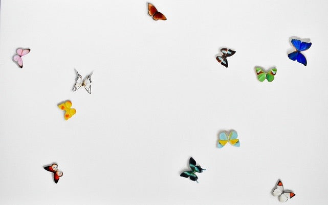 Butterflies