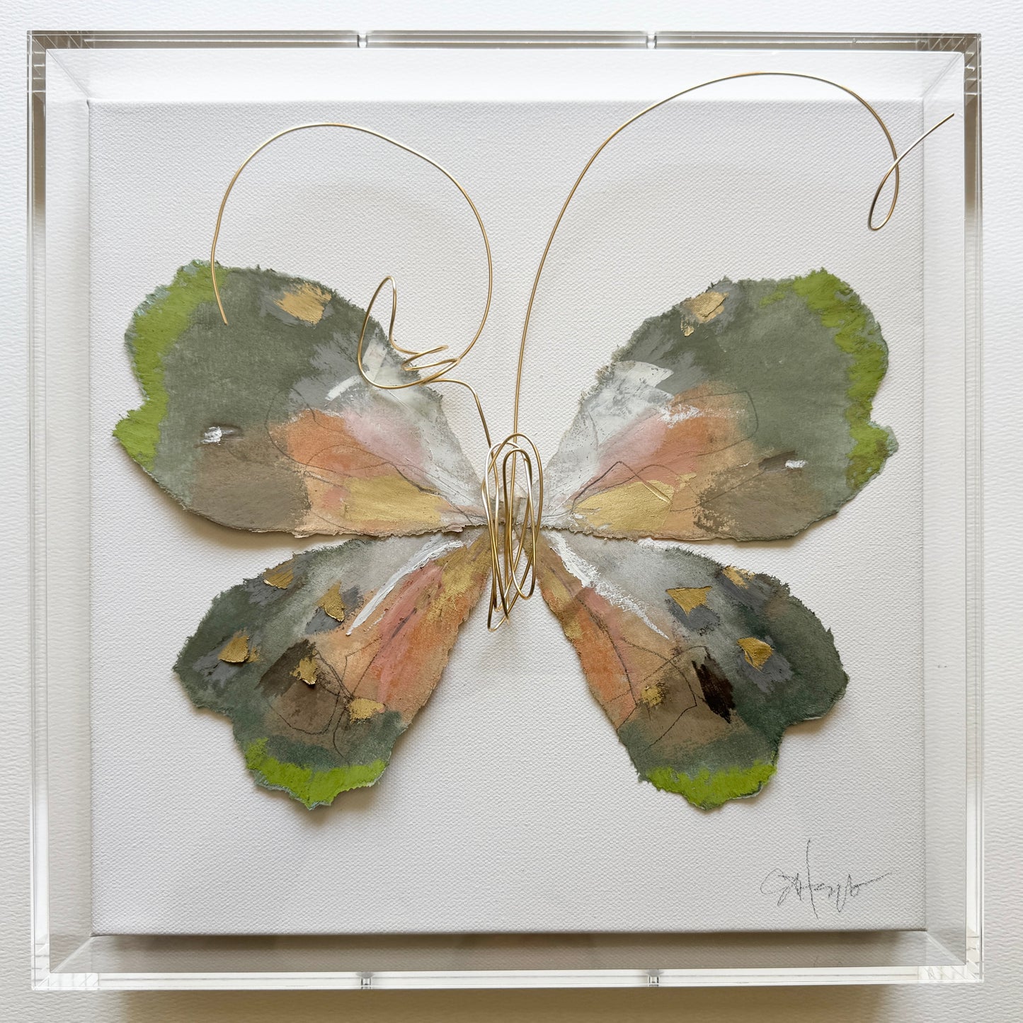 Butterfly Taxidermy 1