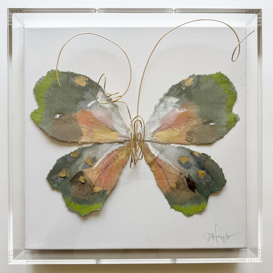 Butterfly Taxidermy 1