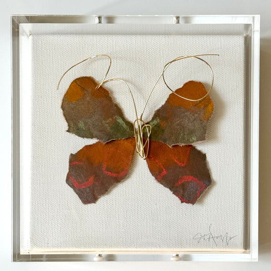 Butterfly Taxidermy 11