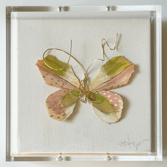 Butterfly Taxidermy 12