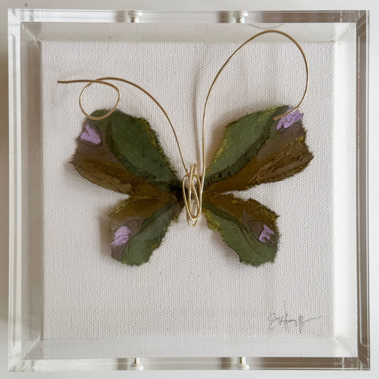 Butterfly Taxidermy 1