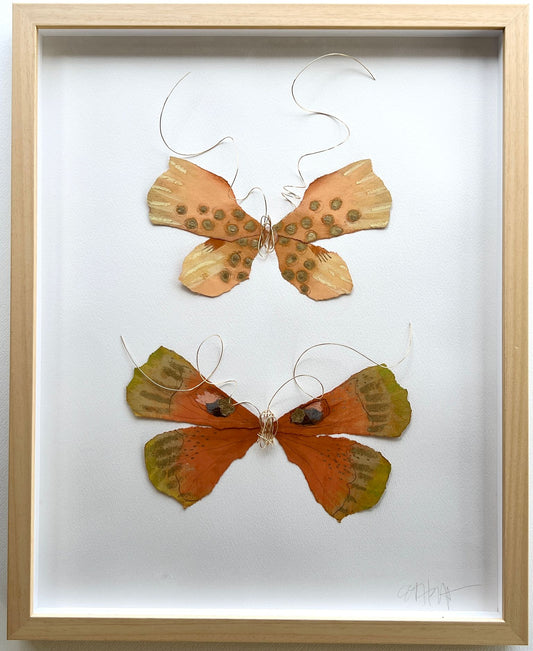 Butterfly Taxidermy 208