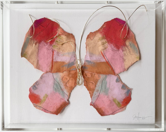 Butterfly Taxidermy 2
