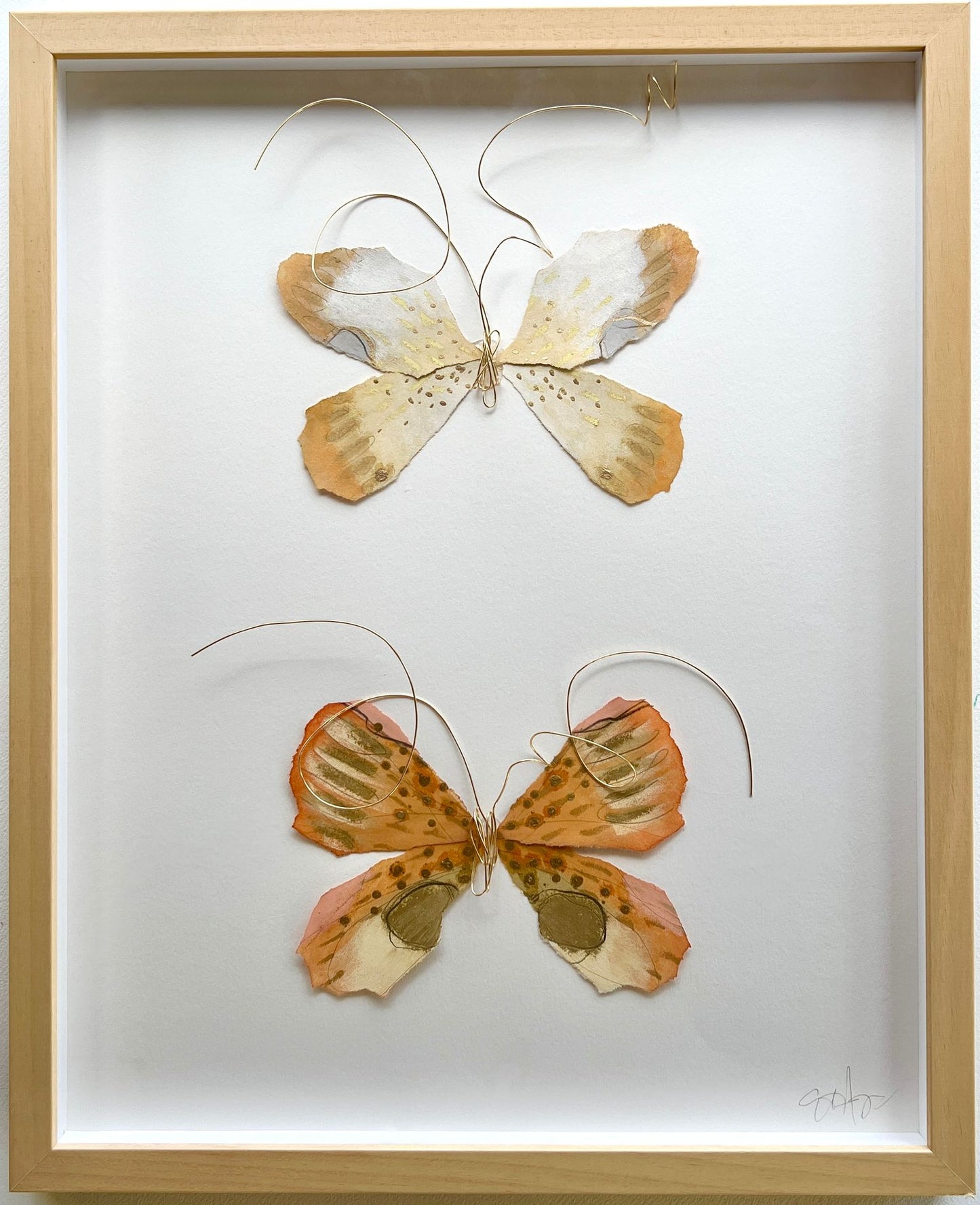 Butterfly Taxidermy 211