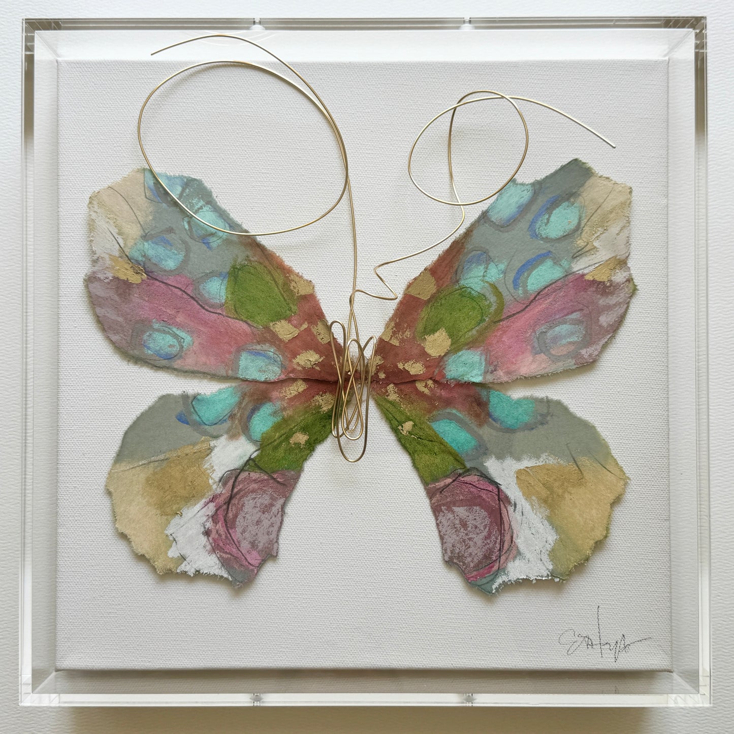 Butterfly Taxidermy 2
