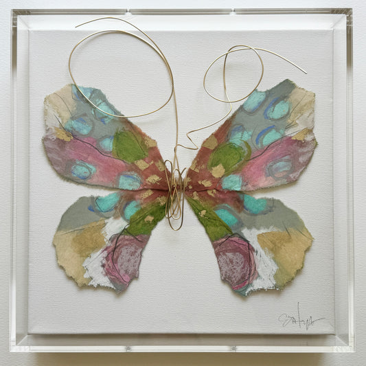 Butterfly Taxidermy 2