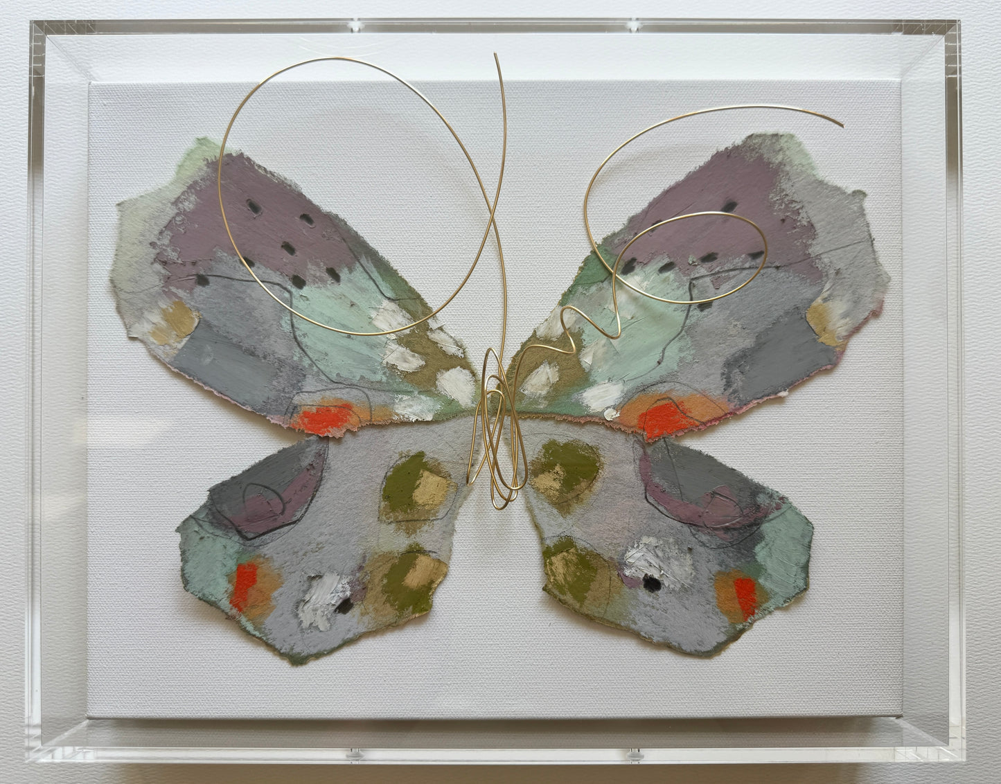 Butterfly Taxidermy 3