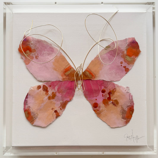 Butterfly Taxidermy 4