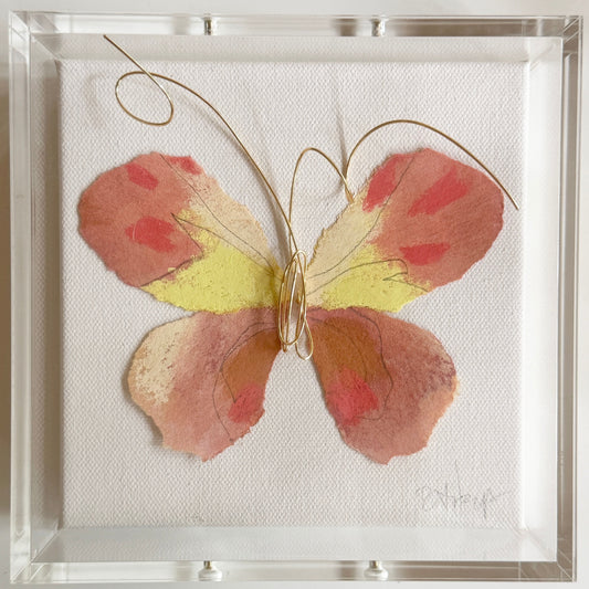 Butterfly Taxidermy 5