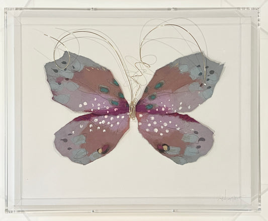 Butterfly Taxidermy 7