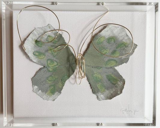 Butterfly Taxidermy 7