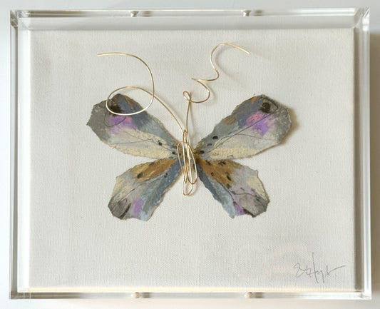 Butterfly Taxidermy 7