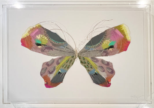 Butterfly Taxidermy 9