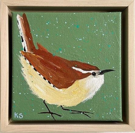 Carolina Wren