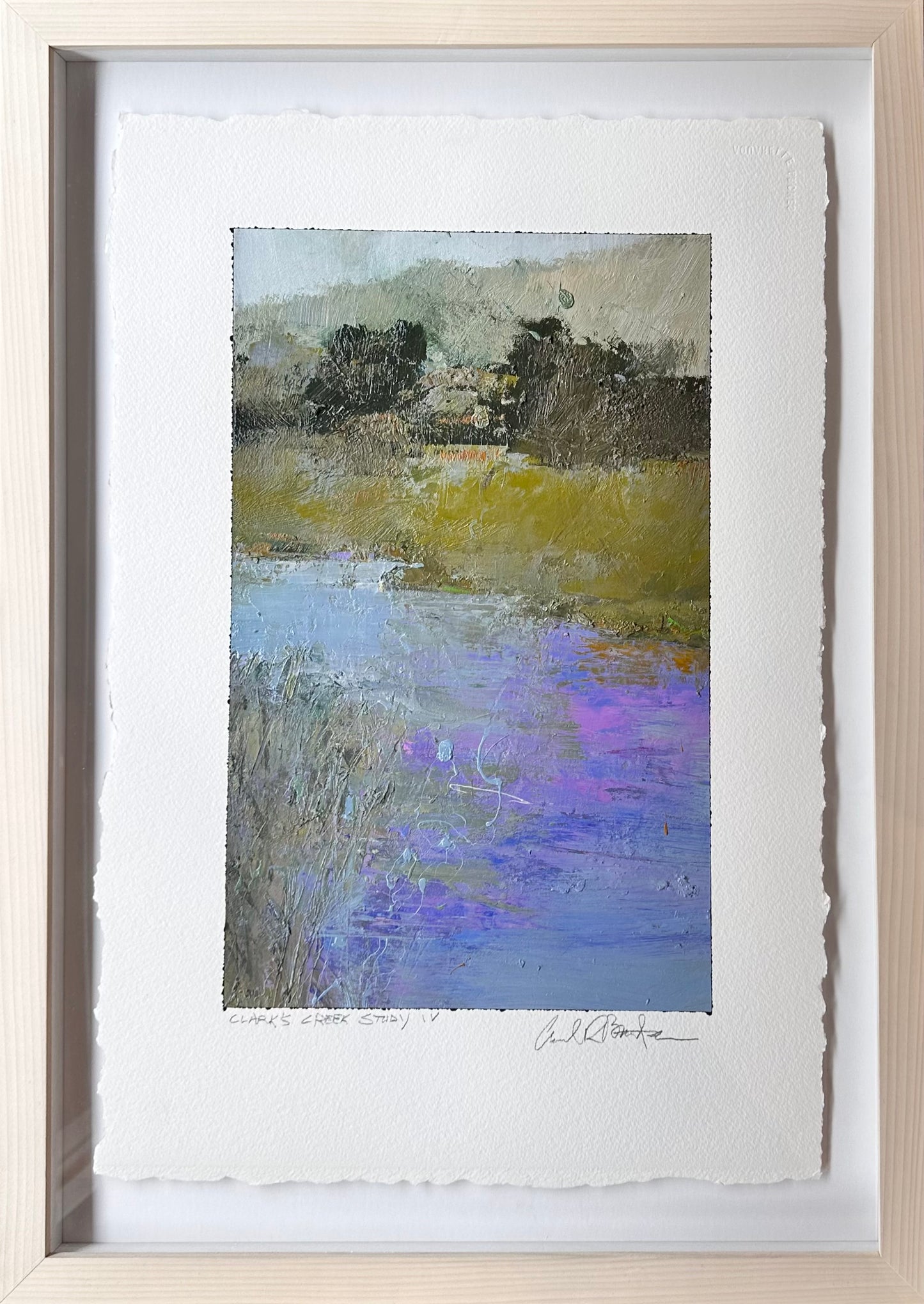 Clarks Creek Study IV