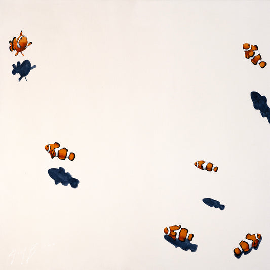 Clownfish on a White Wall