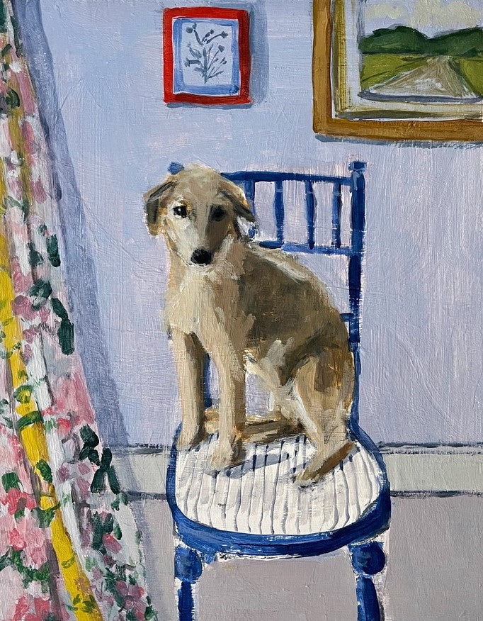 Dog on a Blue Chair