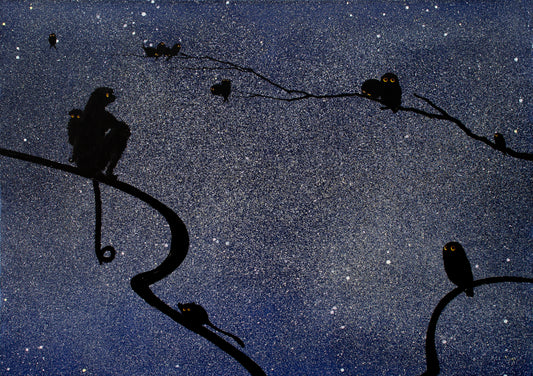 Dreaming of Madagascar