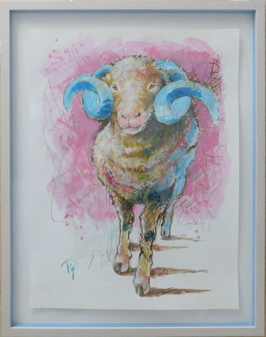 Easy Going Ram