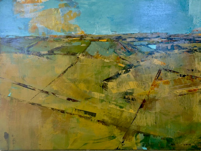 Fieldlines