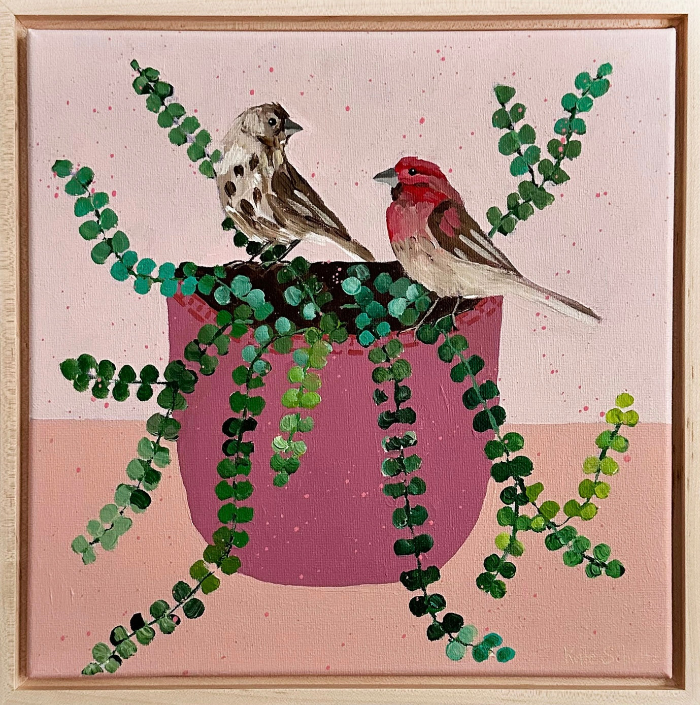 Finches in the Jenny