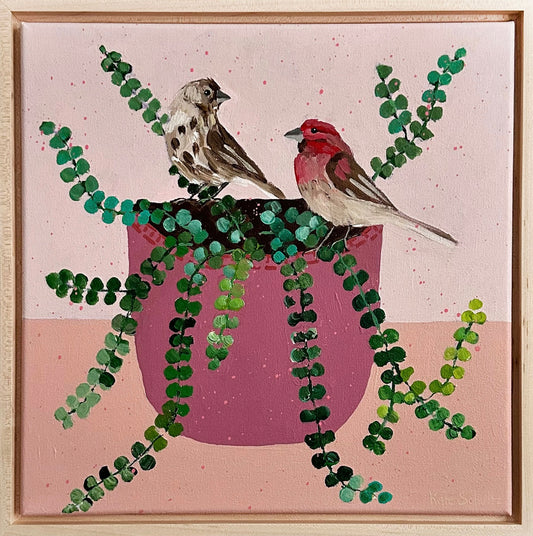 Finches in the Jenny