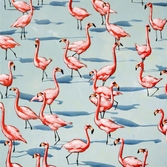 Flamingo in the Water