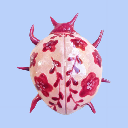 Fuscia Beetle