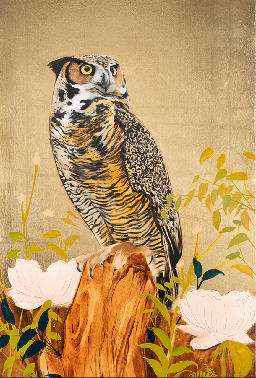 Great Horned Owl II