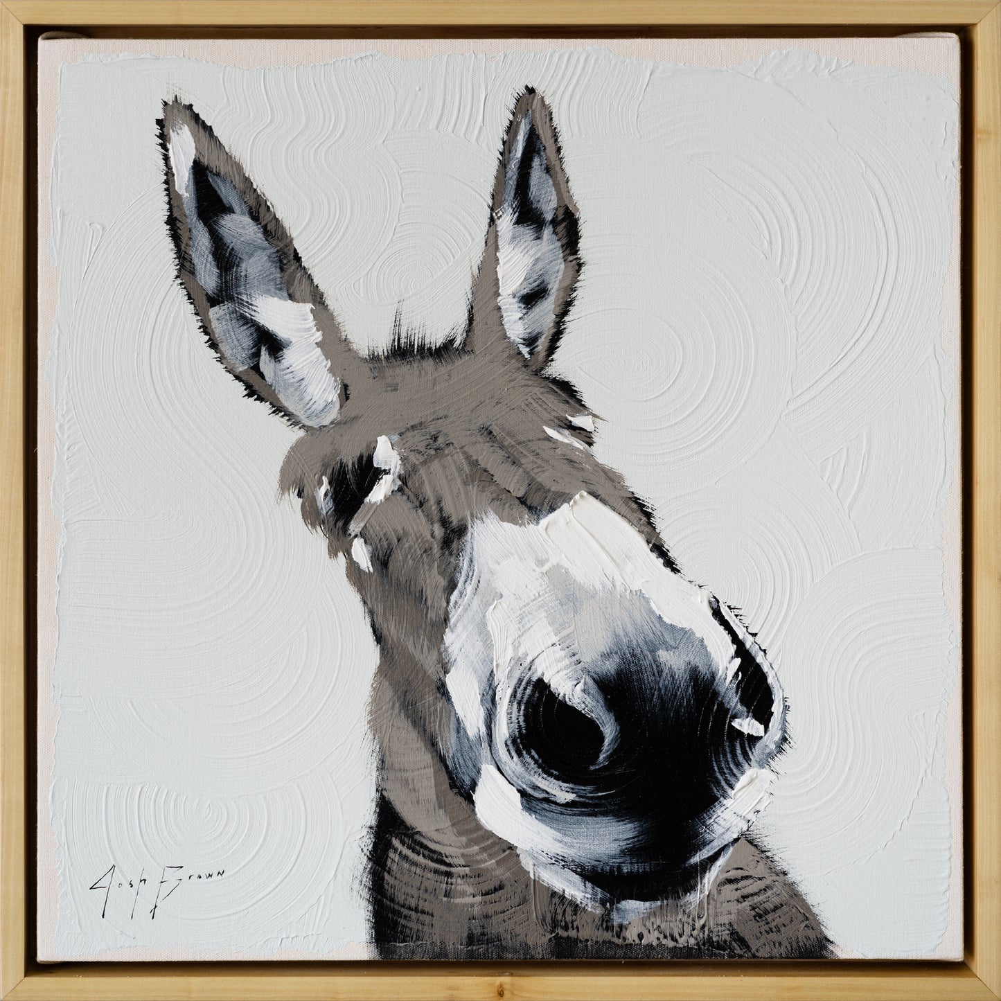 Grey Donkey on Off Blue