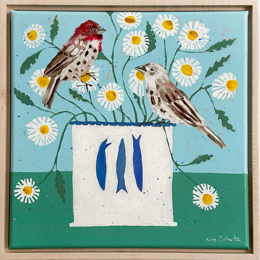 House Finch in the Daisies
