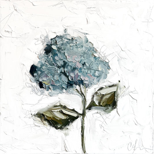 Hydrangea III