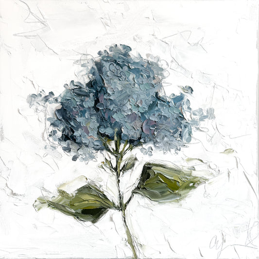 Hydrangea I