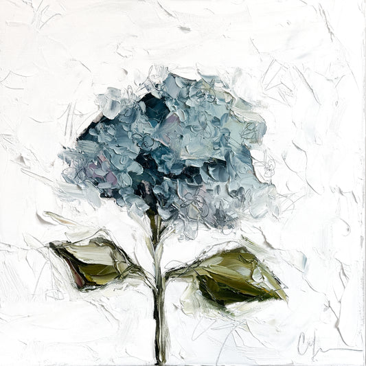 Hydrangea II