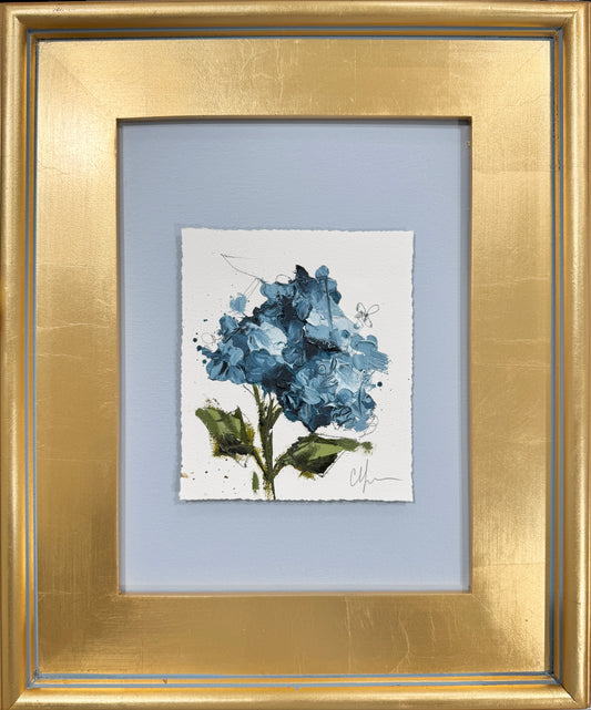 Hydrangeas V