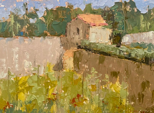 Where Van Gogh Walked, St. Remy