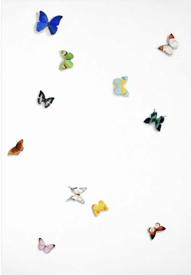 Butterflies