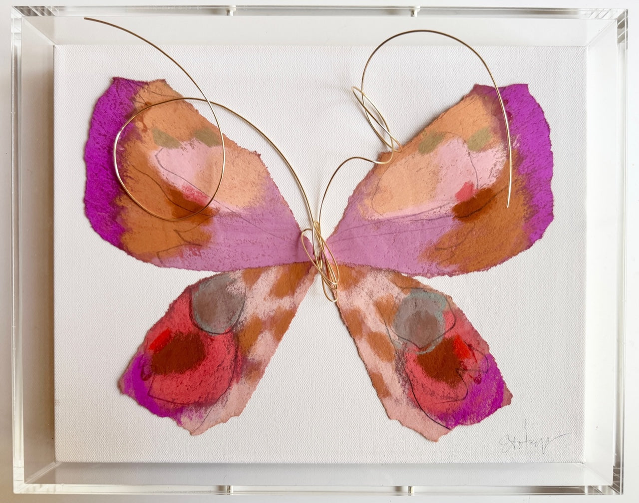 Butterfly Taxidermy 2