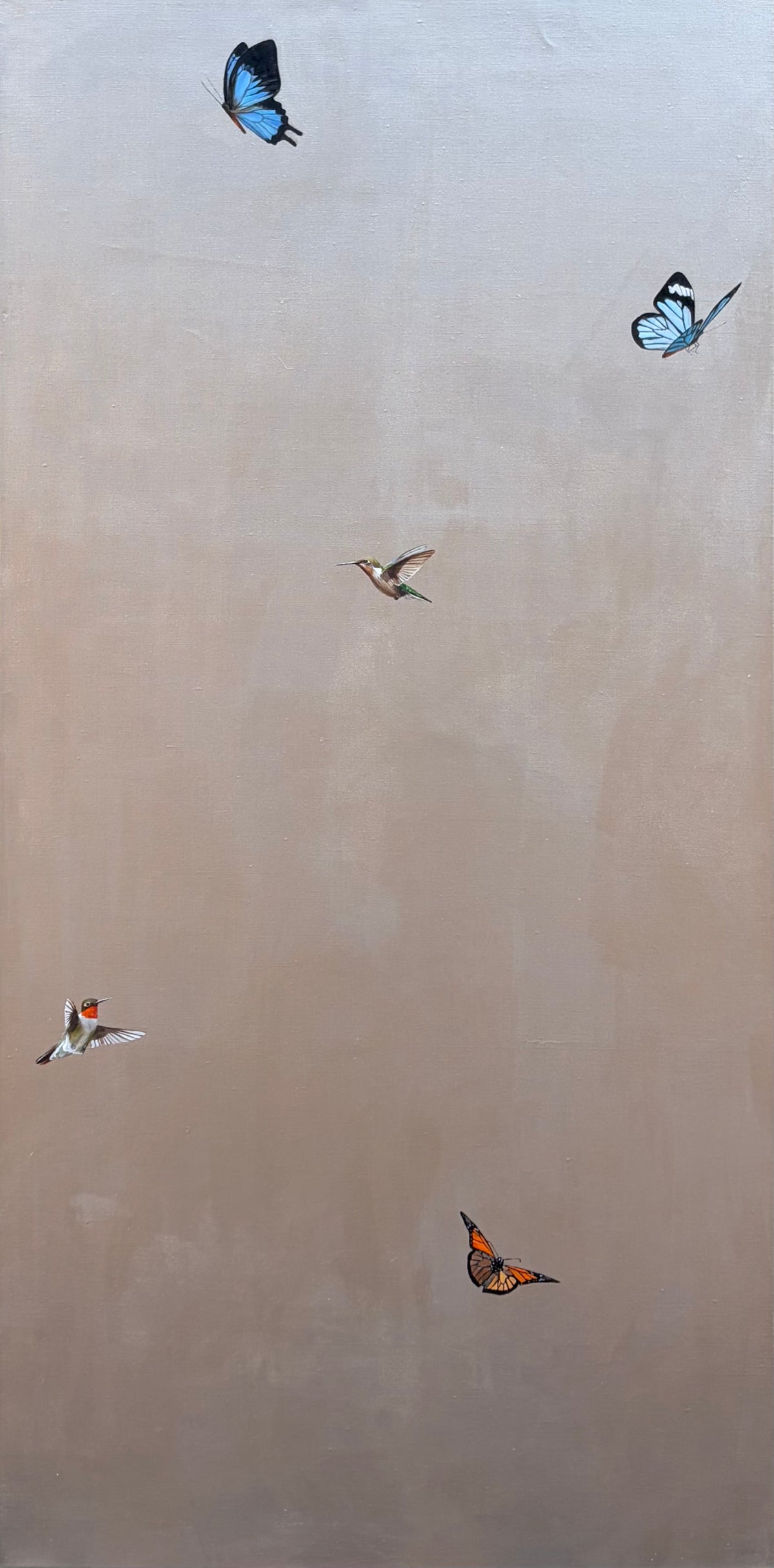 Butterflies with Hummingbirds I