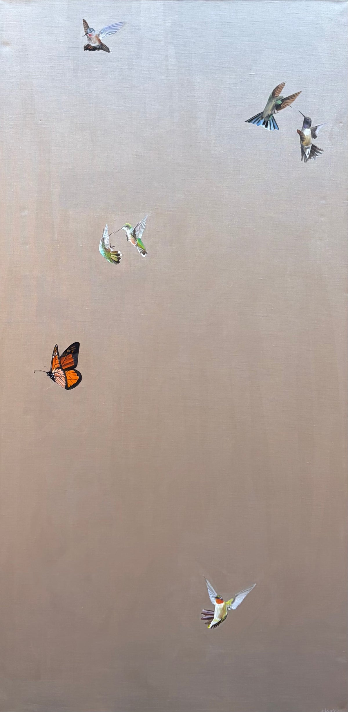 Butterflies with Hummingbirds II