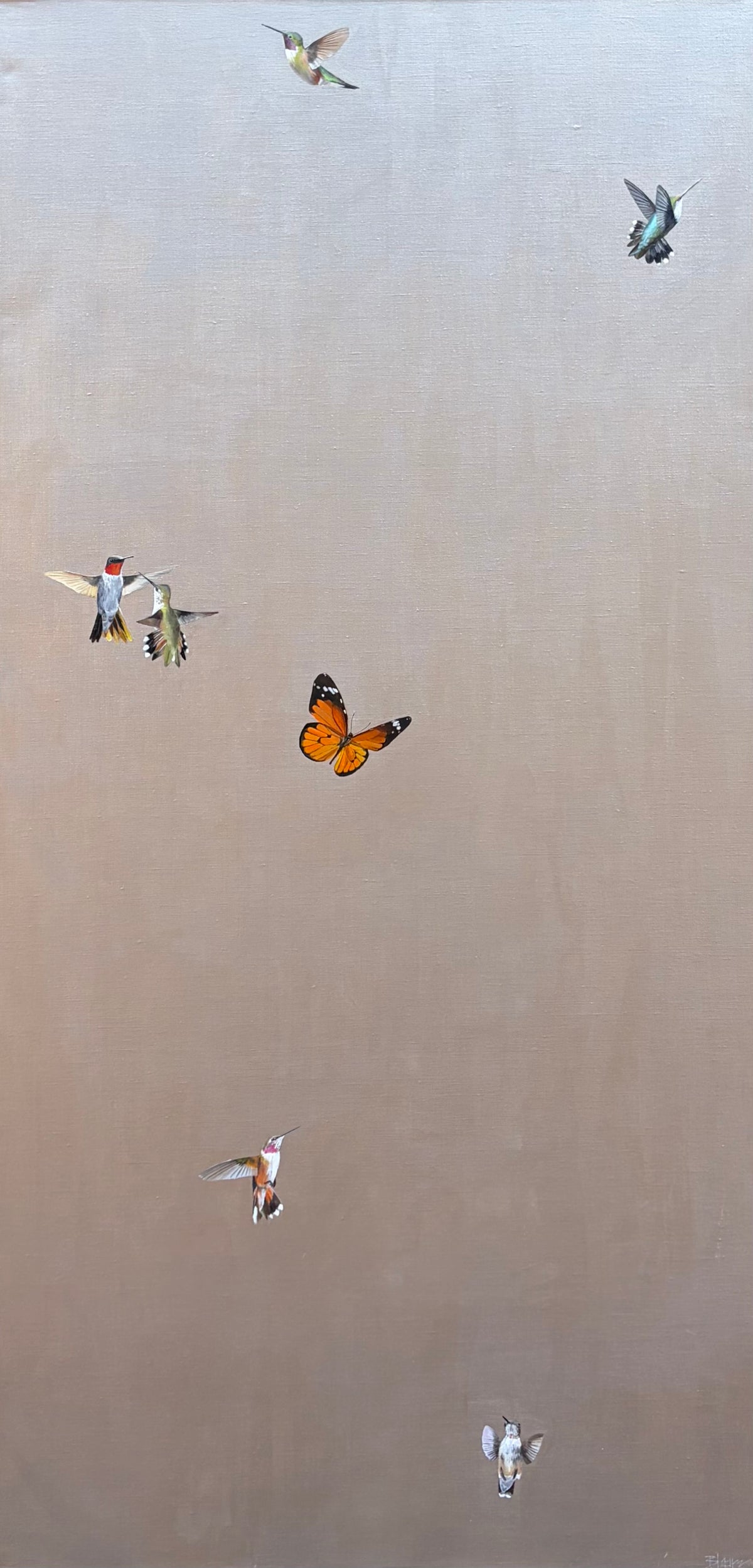 Butterflies with Hummingbirds III