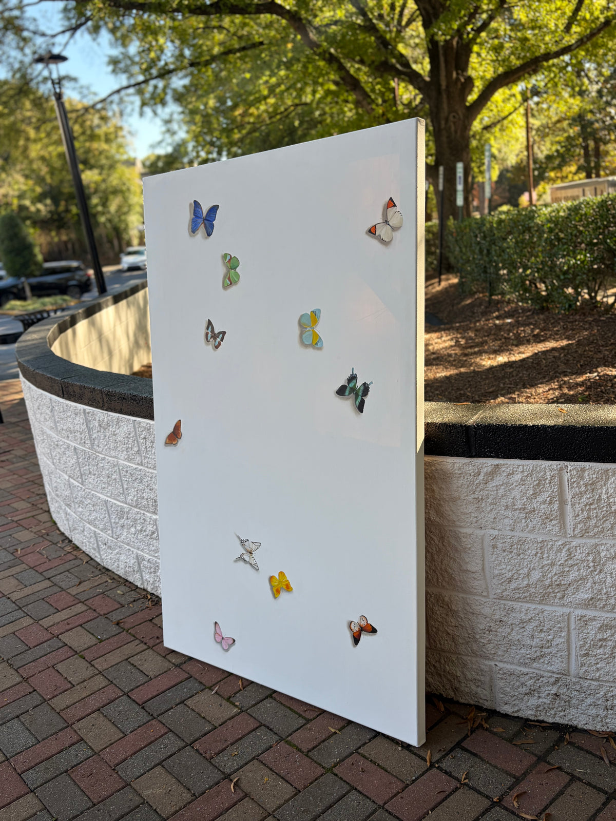 Butterflies