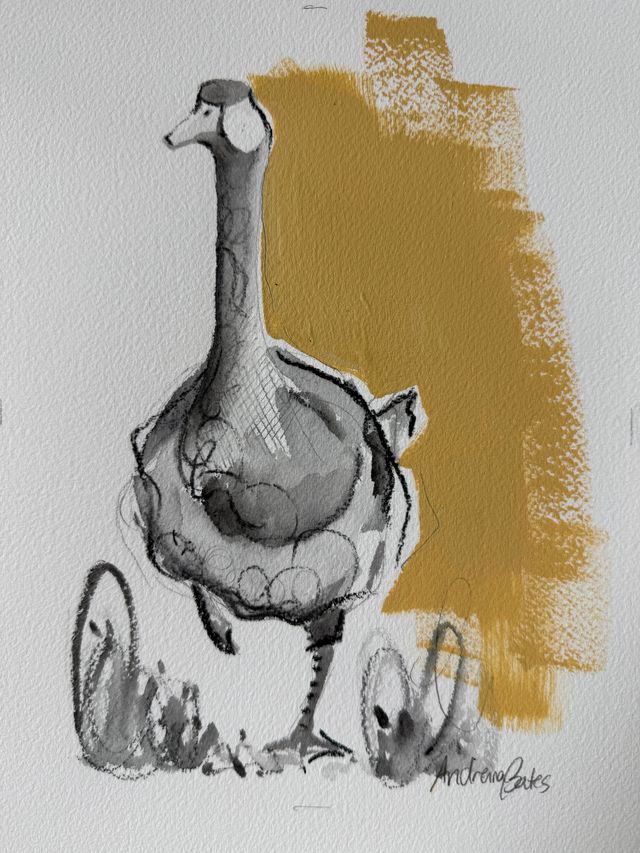 In the Company of Geese 6