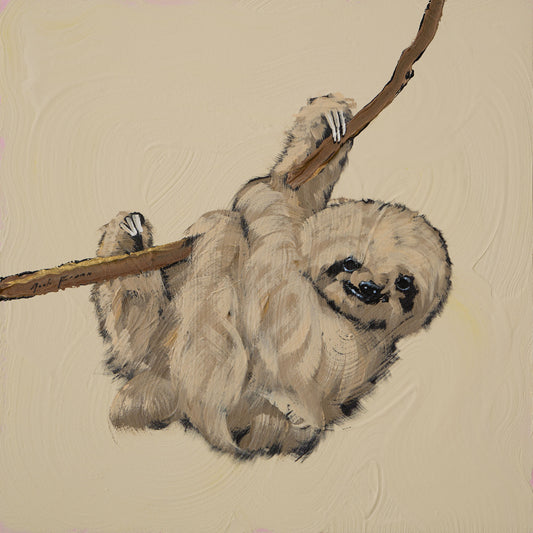 Sloth Baby