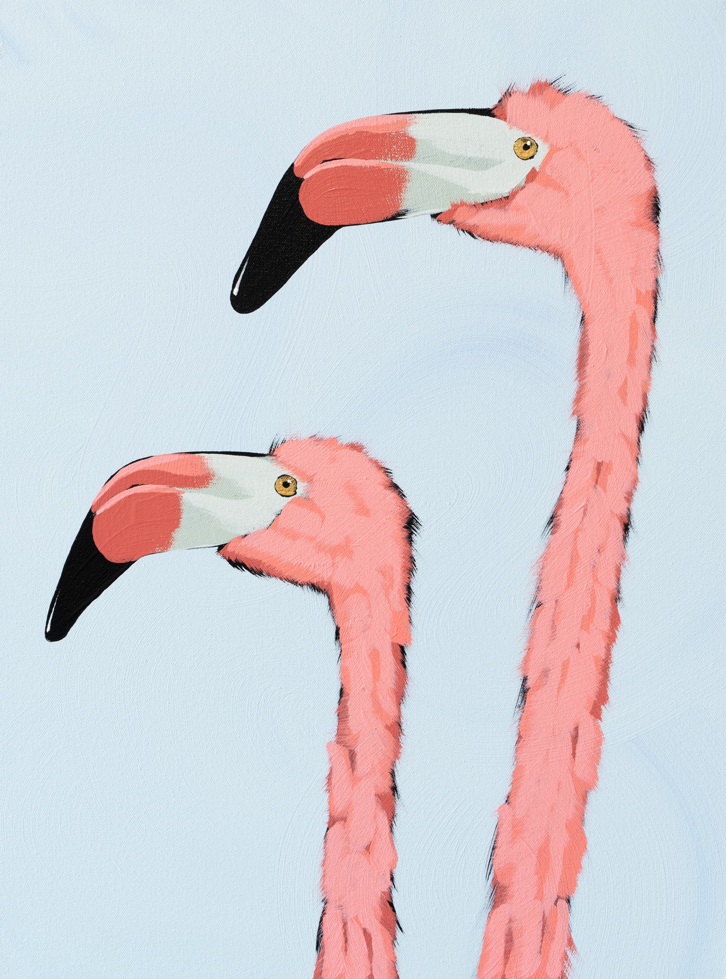 Two Flamingo on Blue