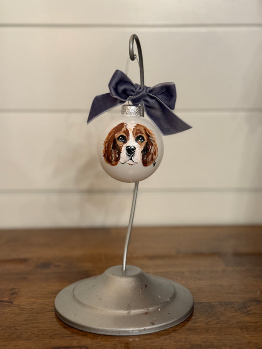 King Charles Cavalier