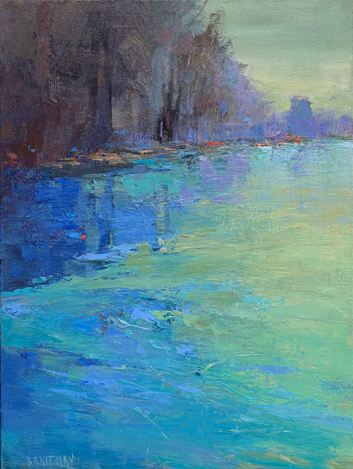 Lake Lure Confluence Study I