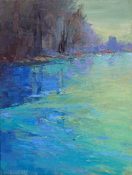 Lake Lure Confluence Study I