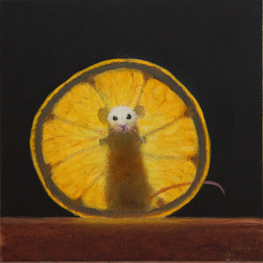 Lemon X-Ray